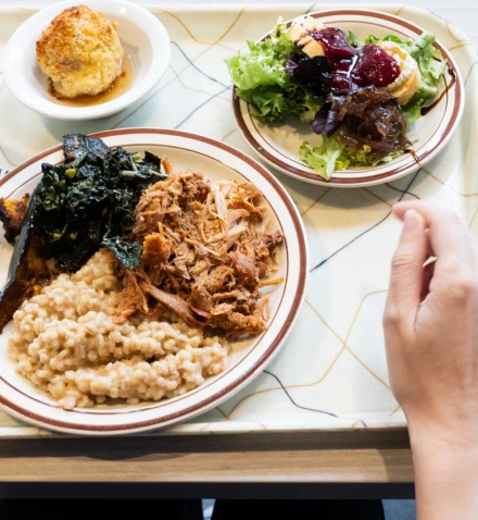 Redirection institution