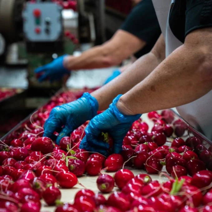 Pourquoi adherer profil entreprise radis 800x800