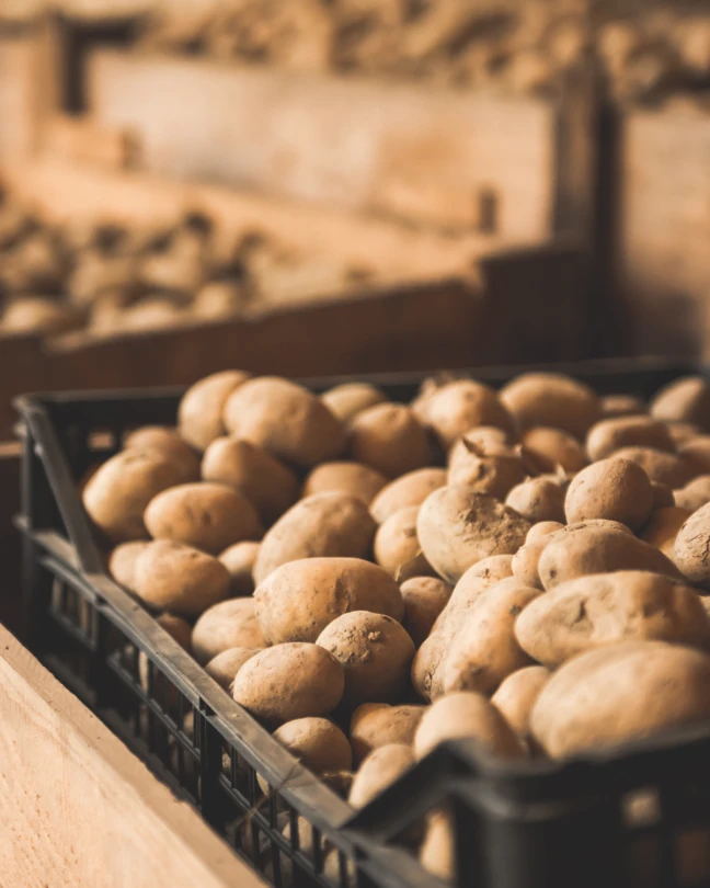 475x600krispy 1506624555