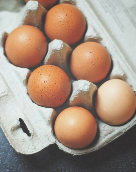 475x600 oeuf 1517971676