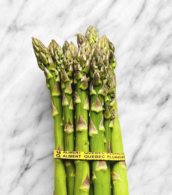 Asperge Qc