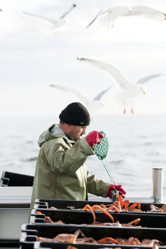 La peche au Quebec secteur vital sous pression