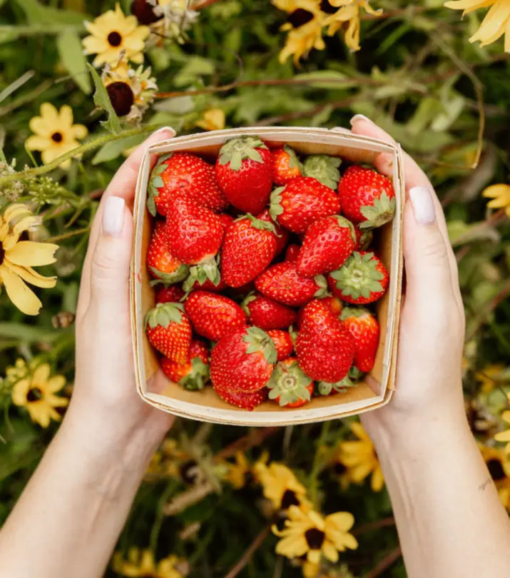Panier Fraises
