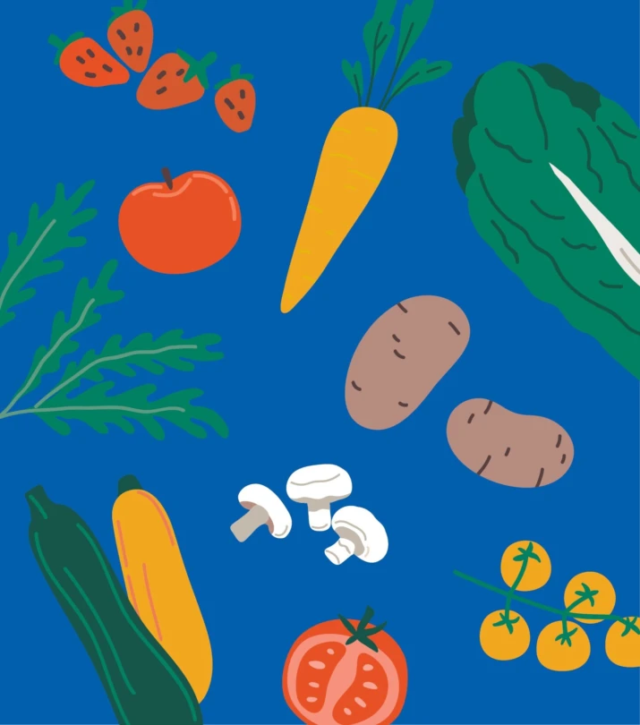 Legumes fruits disponibles annee