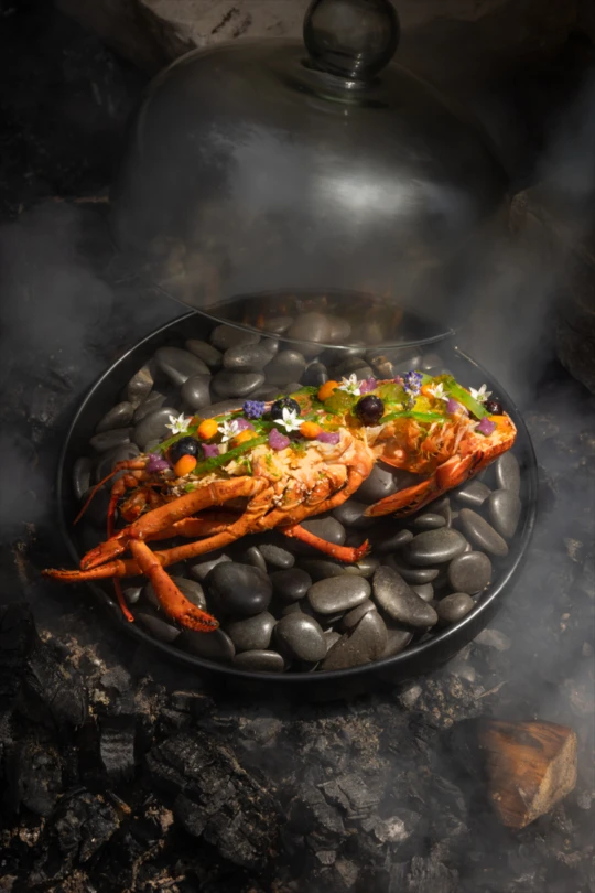 La Traite Homard D BR