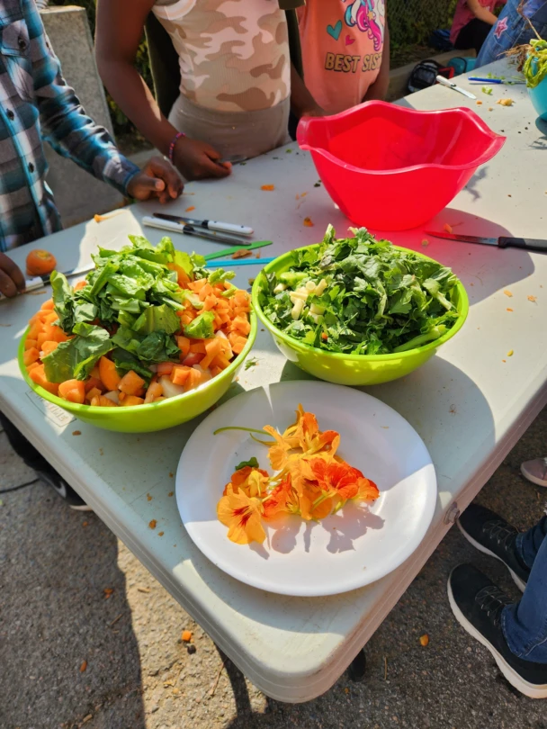 LIML23 Ecole La Passerelle 04 rotated