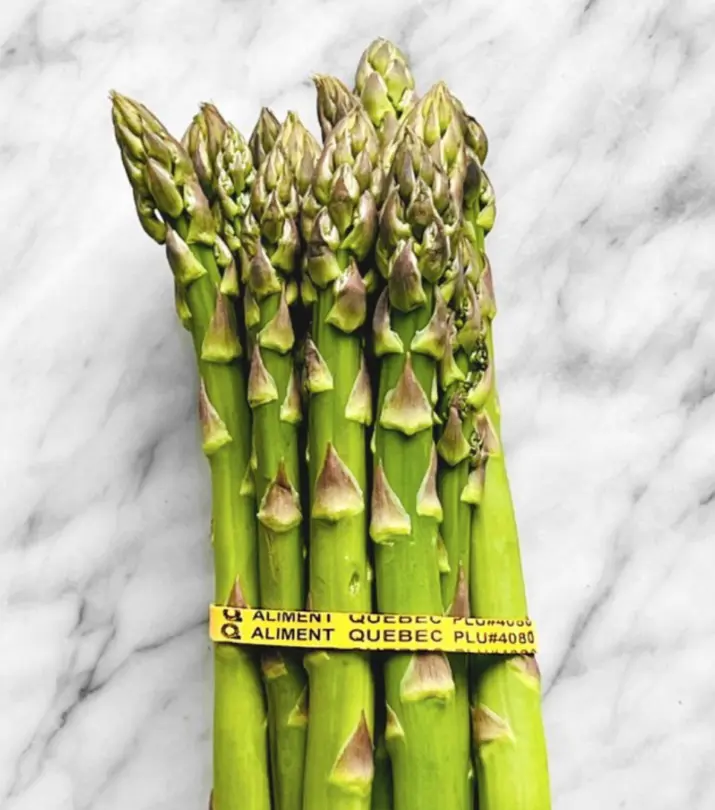 Asperge QC 1400x1400
