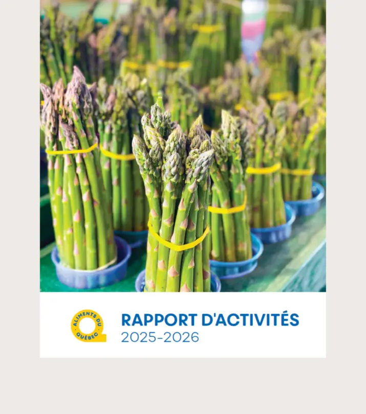 Rapport dactivies 3