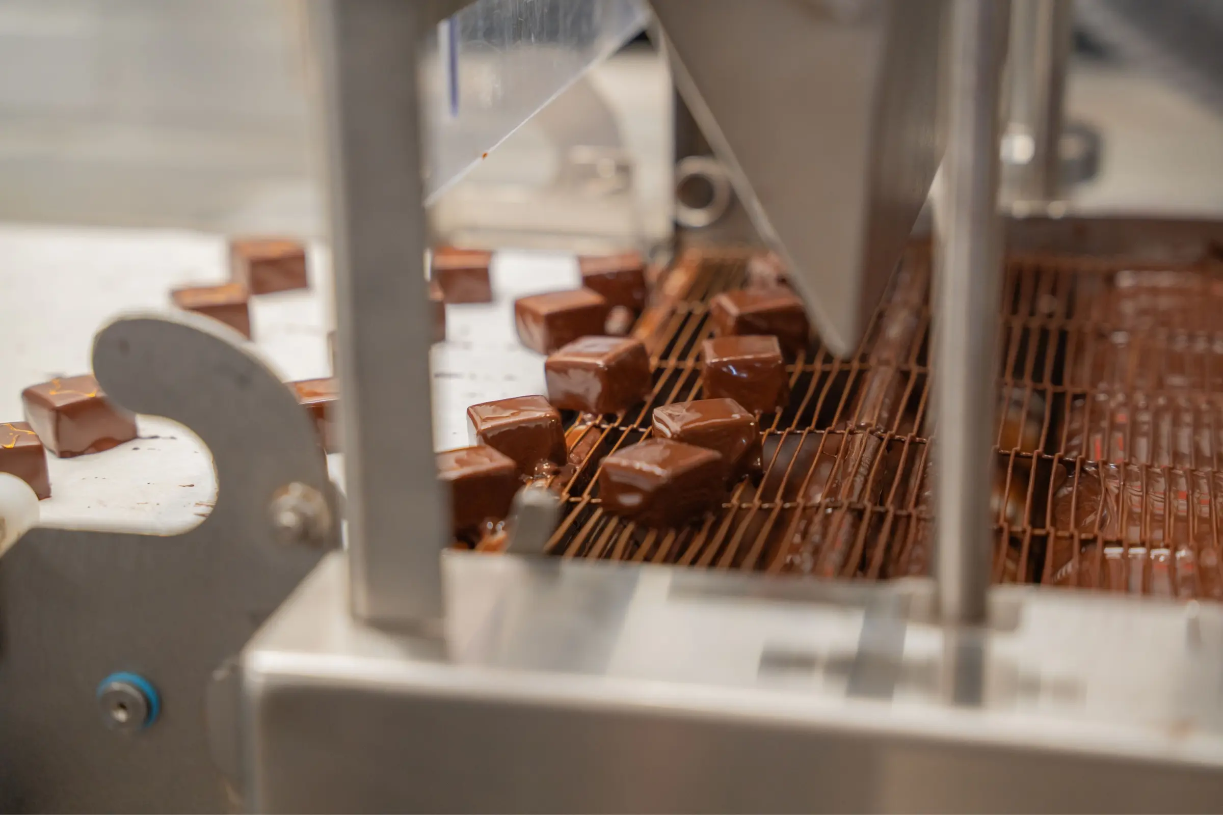 https://assets.alimentsduquebec.com/alimentsduquebec-assets/production/FAYS-3.jpg