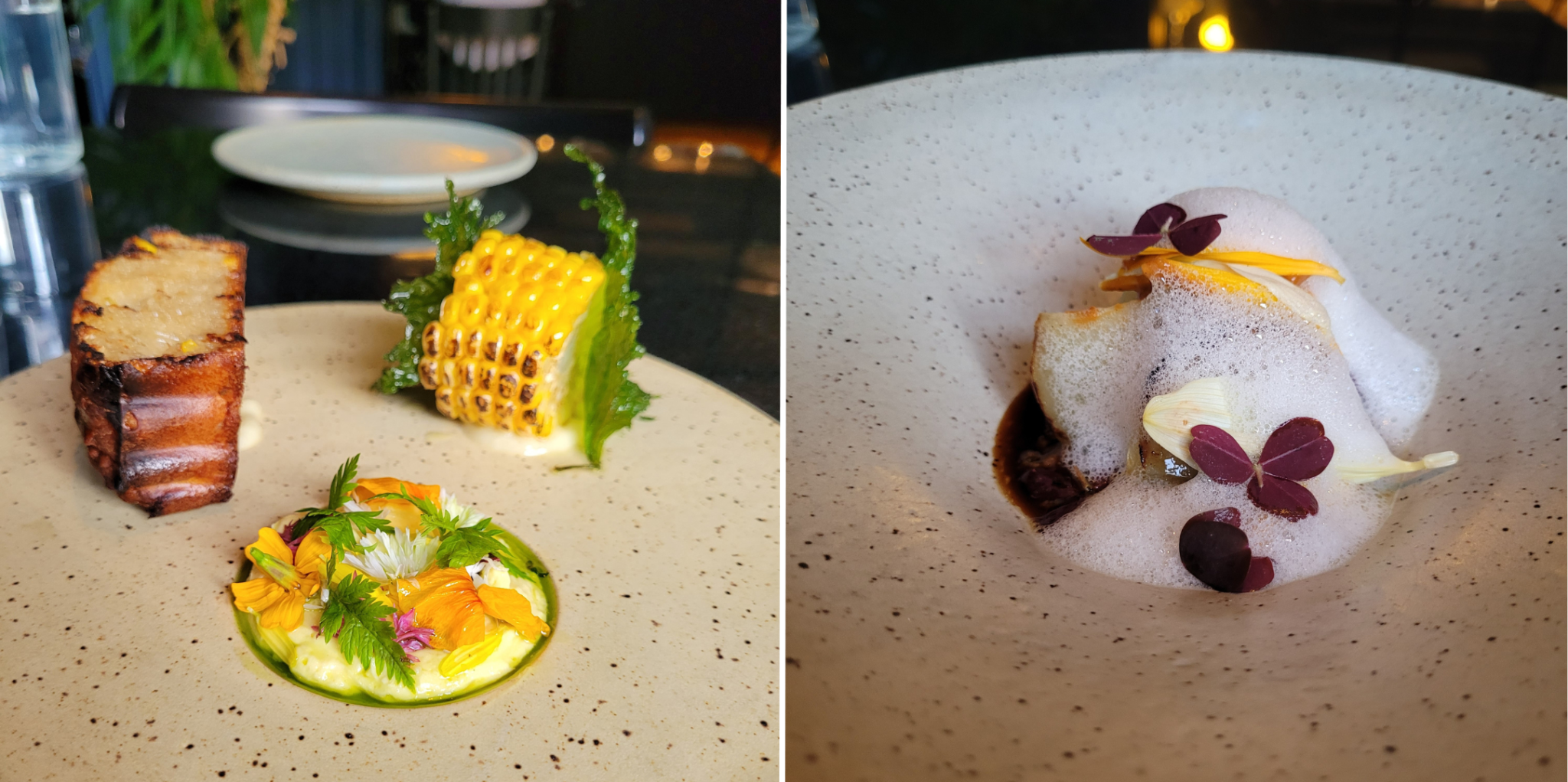 © Tommy Dion - Île Flottante