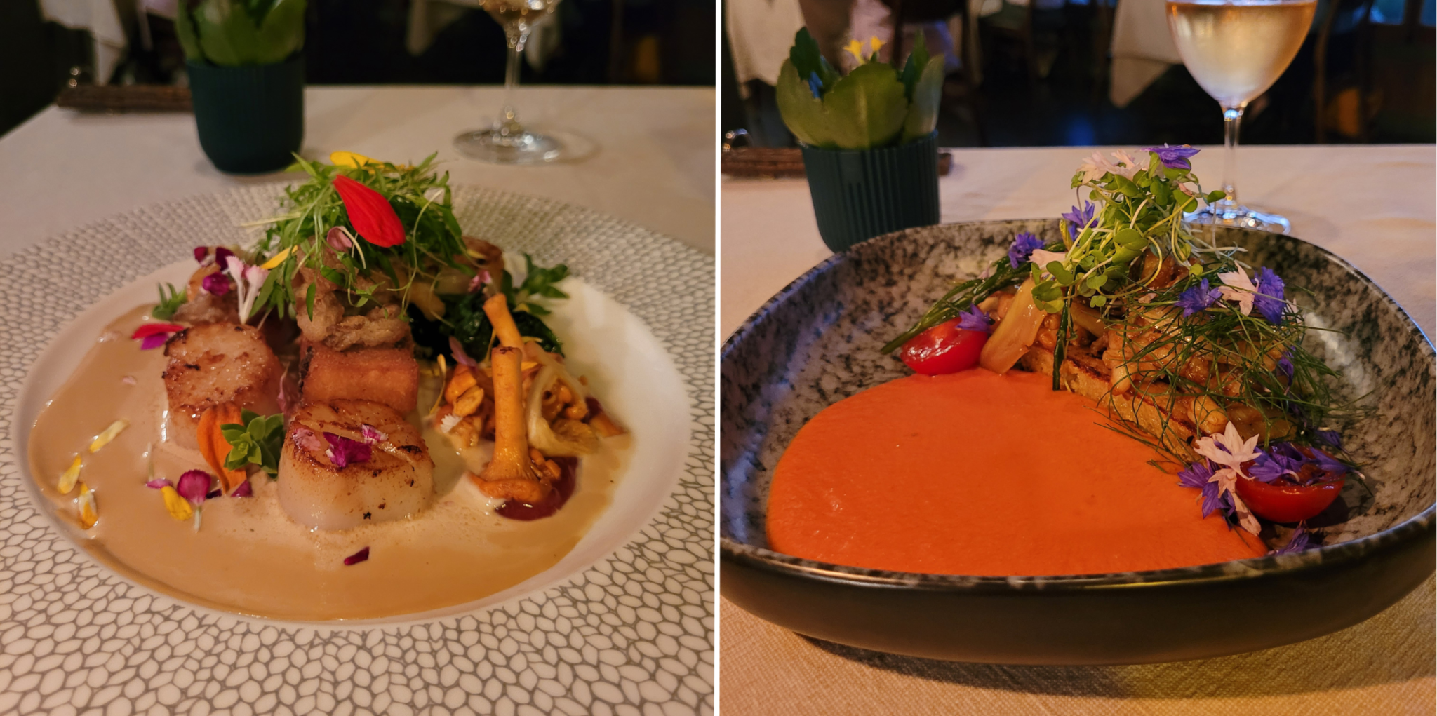 © Tommy Dion | Le Mange-Grenouille