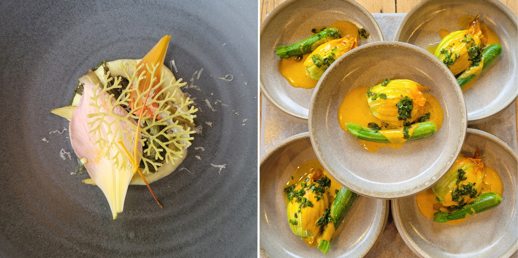 © Tommy Dion | Les Mal-Aimés